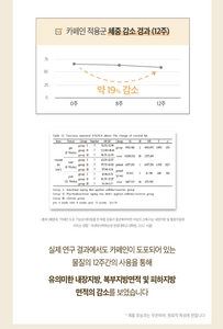 랑데린 토탈 패치 (RangdeLine) _ 미국 첫 상륙