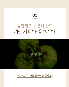 랑데린 토탈 패치 (RangdeLine) _ 미국 첫 상륙