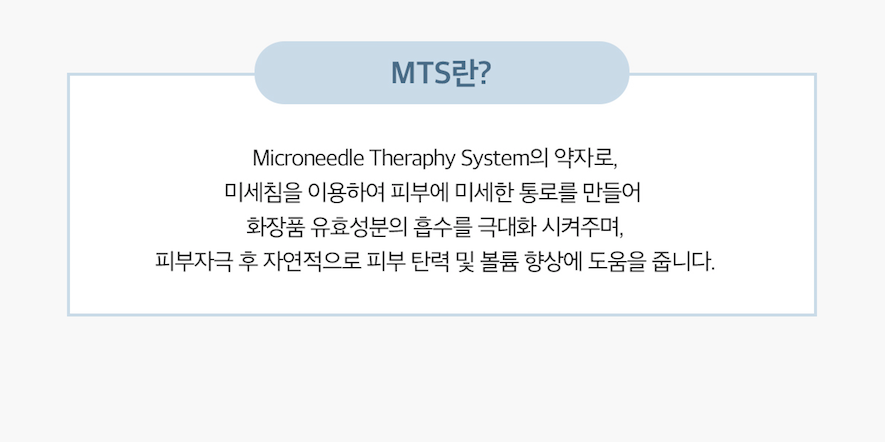 톡스펜(+톡스칩1개) _ 미국 2차공구