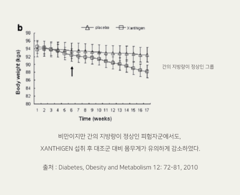 노워리즈 잔티젠 다이어트 _ 2024 5/28 5차 입고!!!