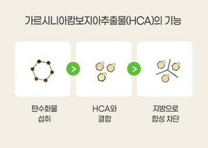 노워리즈 슬림팻바이 _ 2024 따끈따끈 6차 재입고