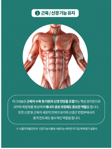 노워리즈 마그네슘 400 다이렉트 _ 미국 첫 공구 런칭 (3+1 이벤트중)