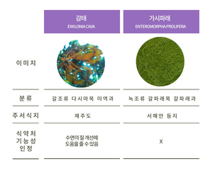 [미주 첫런칭] 노워리즈 슬립웰 _ 3+1 행사중